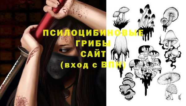 мяу мяу мука Арсеньев