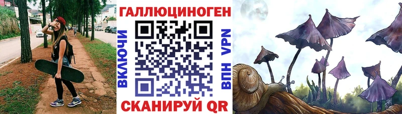 дарнет шоп  Облучье  ОМГ ОМГ ONION  Псилоцибиновые грибы GOLDEN TEACHER 